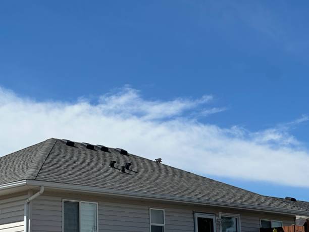 Best Roof Coating and Sealing  in Sheffield, OH